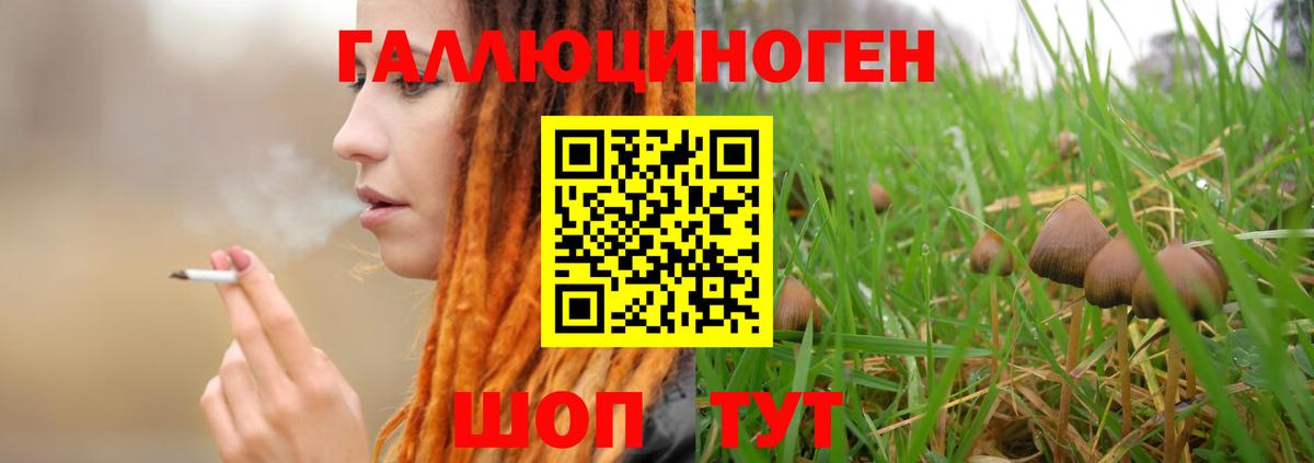 закладки  Псилоцибиновые грибы ЛСД  Десногорск  Вход с VPN  Псилоцибиновые грибы Magic Shrooms 